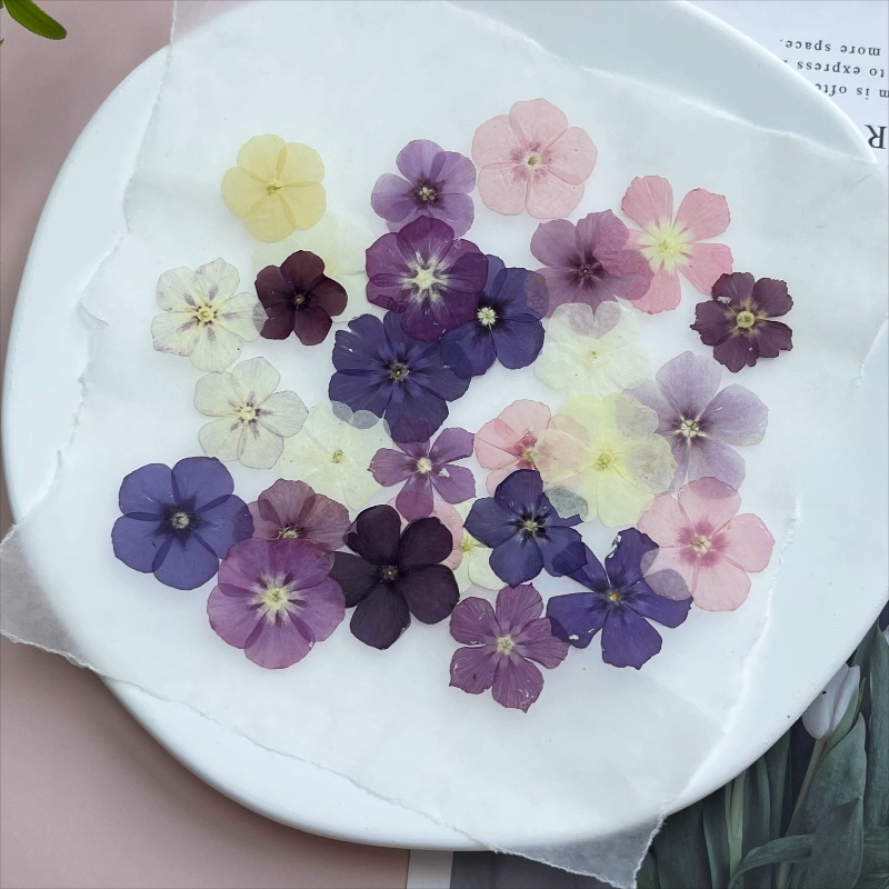 12 peças, nicho semi-transpare - Resin Art Liquid avaliação e preço